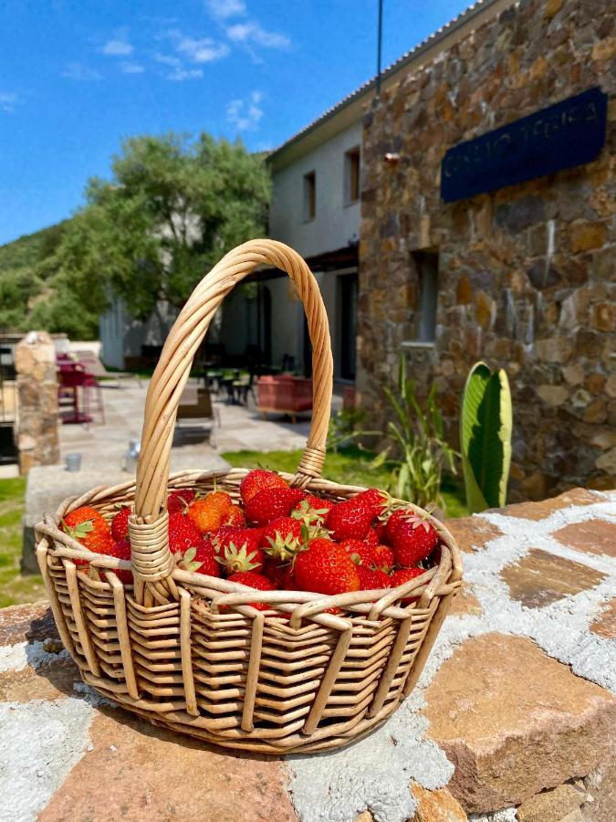 Manso Casa Voltegira Bed & Breakfast エクステリア 写真
